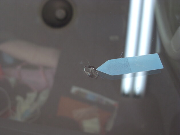 トヨタハイエース ウインドリペア