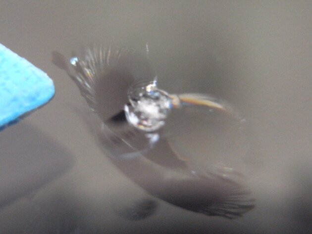 ホンダNbox フロントガラス飛び石