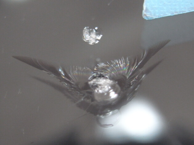 スズキソリオ ウインドリペア