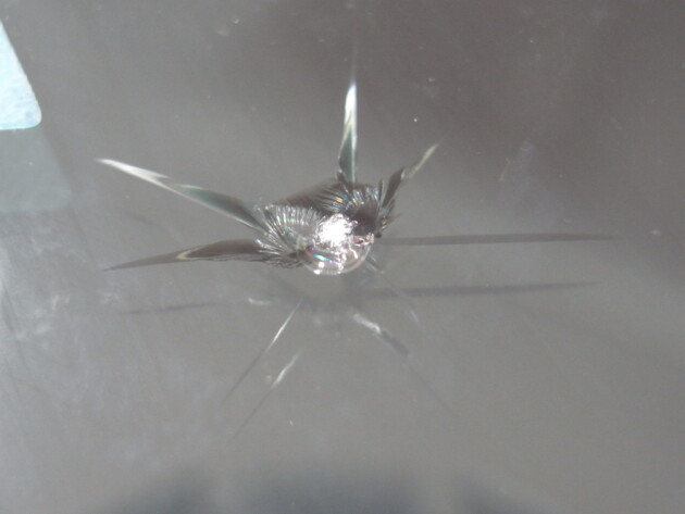 ウインドリペア エスクァイア