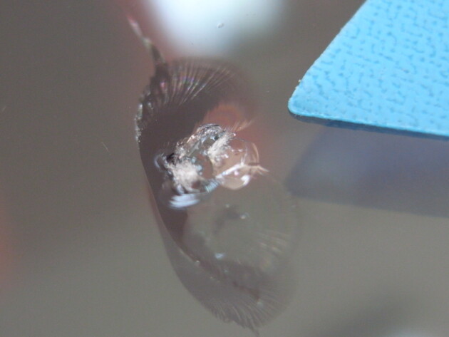 トヨタカムリ フロントガラス修理