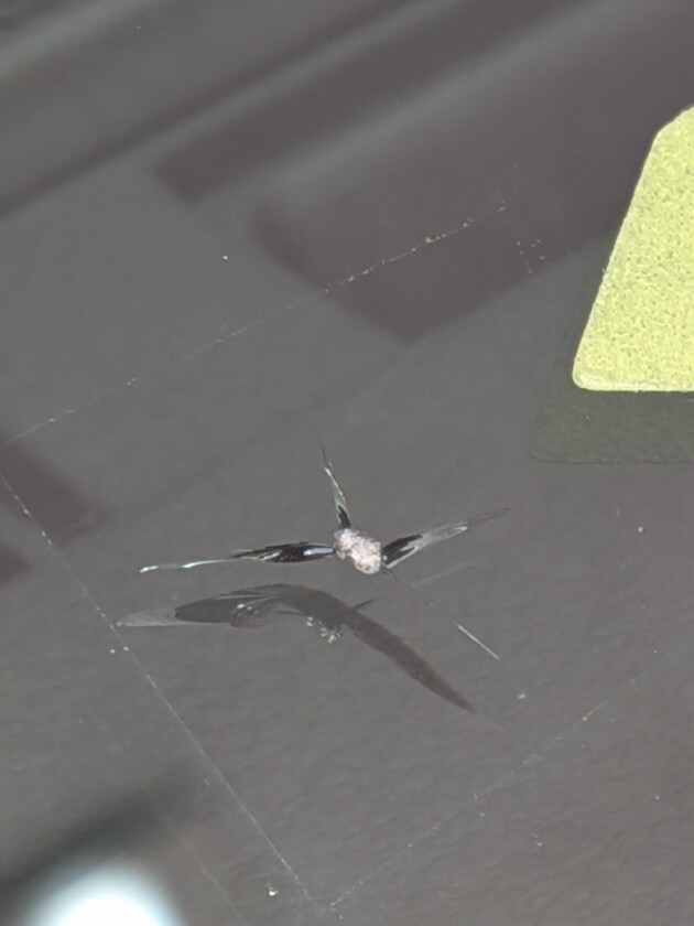 レクサスNX1.2cmのひび割れ