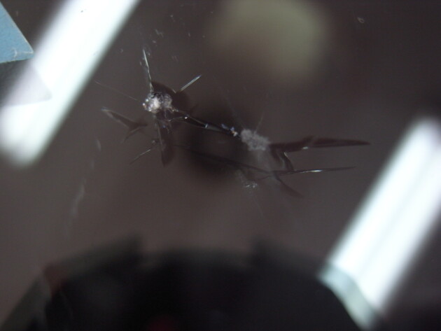 ウインドリペア　カレン