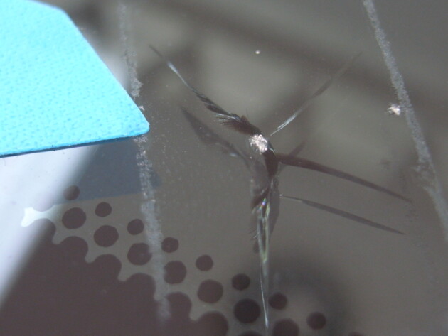 トヨタハリアー フロントガラスリペア