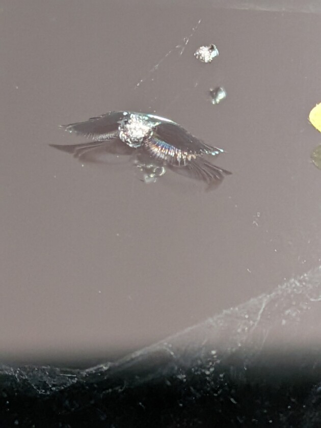 ハイゼット1.3cmのひび割れ