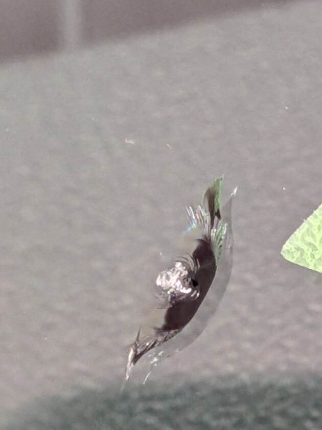 ハイエース1.3cmのひび割れ