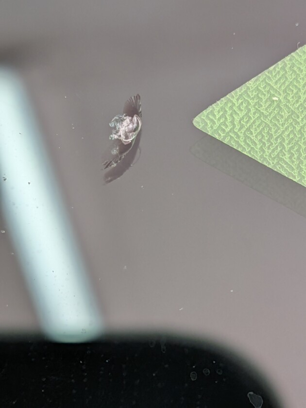 アクティトラック8mmのひび割れ