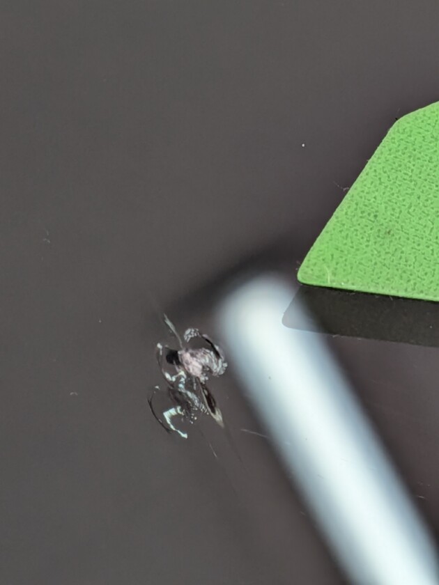 オデッセイ1.4cmのひび割れ