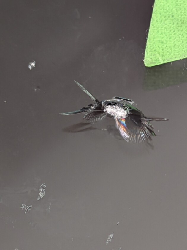 ヴェゼルひび割れ2つ