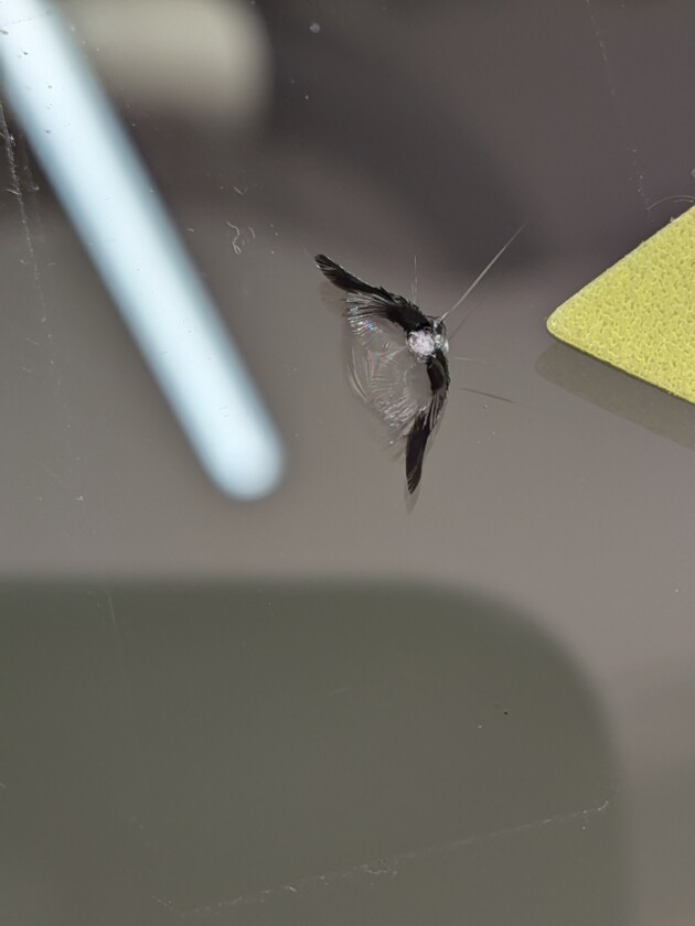 Nbox1.2cmのひび割れ