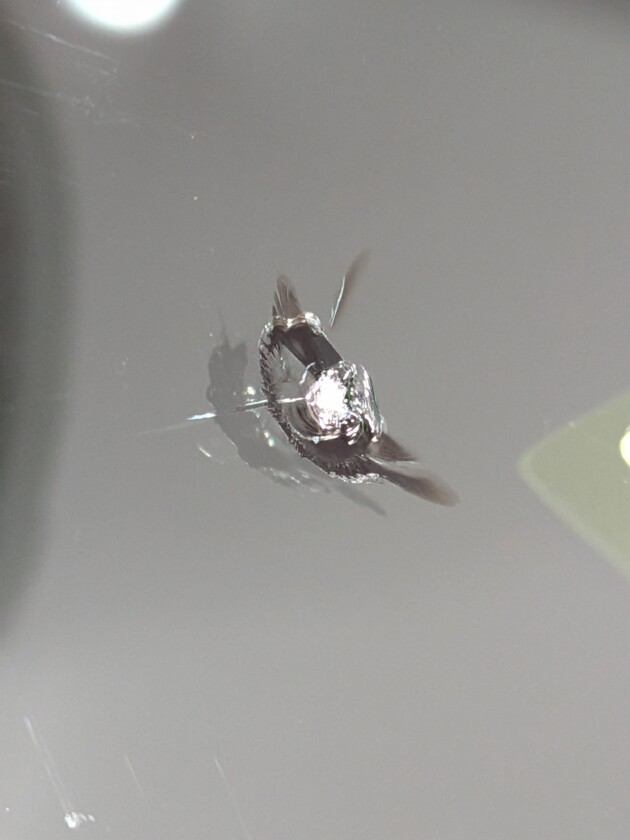 アウディTT1.1cmのひび割れ