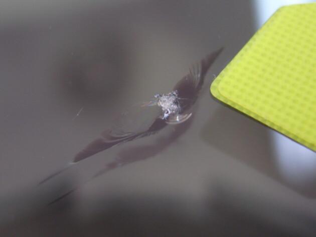 ダイハツタント　フロントガラス　修理