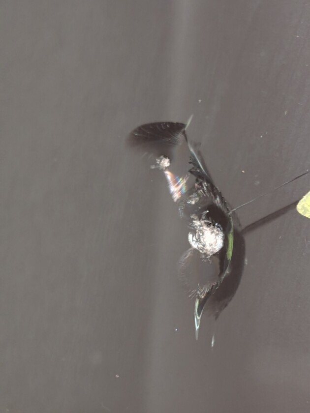 ハイエース1.6cmのひび割れ