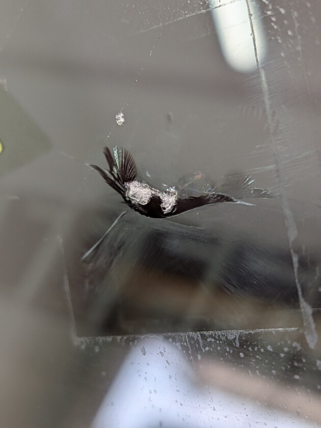 パジェロ2.2cmのひび割れ