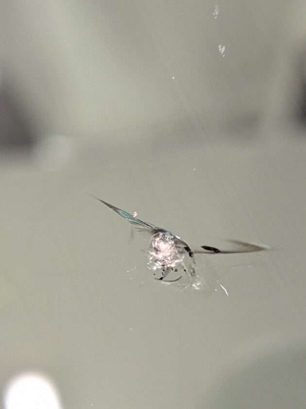 ジャガーXF1.6cmのひび割れ