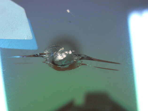 ウインドリペア　アルファード