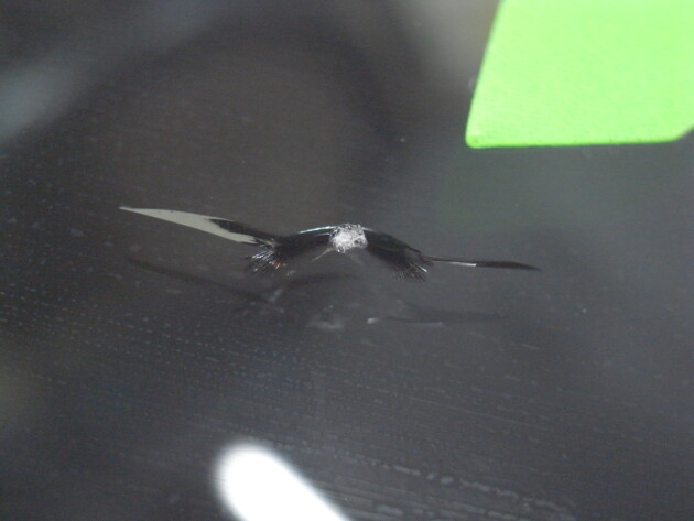 レンジローバー2cmのひび割れ