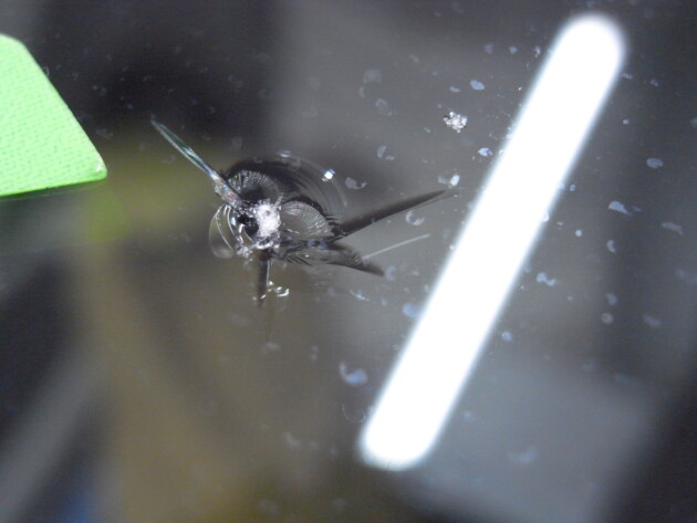 アクセラ2cmのひび割れ