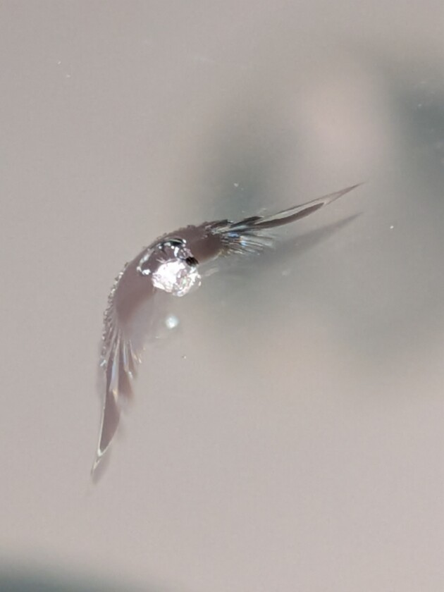 ルークス1.2cmのひび割れ