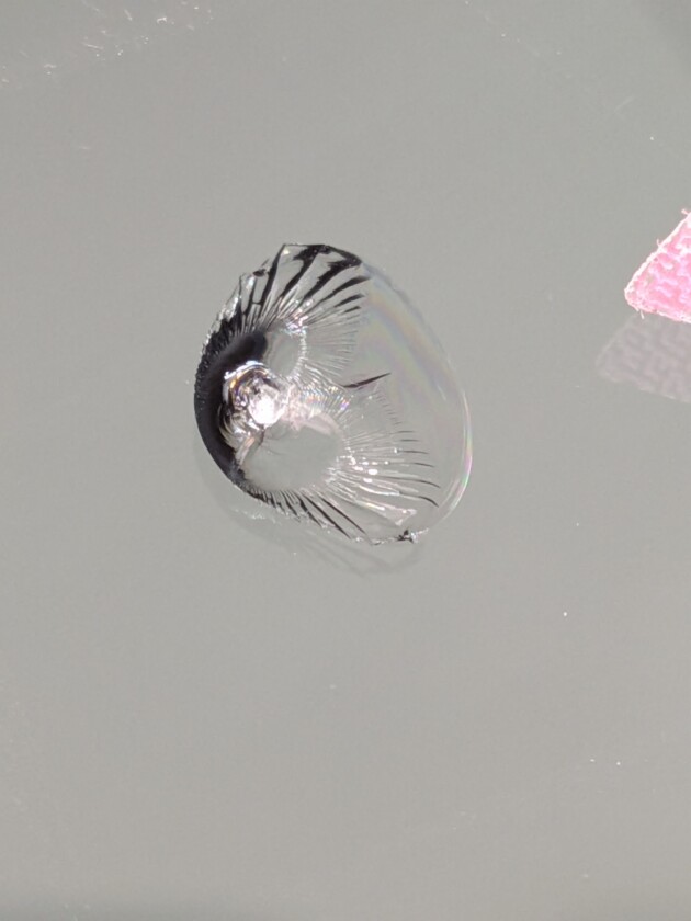 フリード直径1.5cmのひび割れ