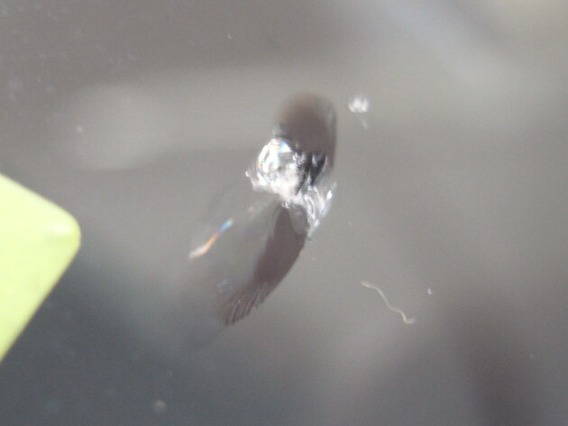 ウインドリペア　ハイエーススーパーロング