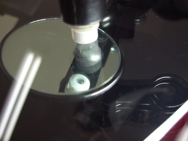 ウインドリペア　チッピング2