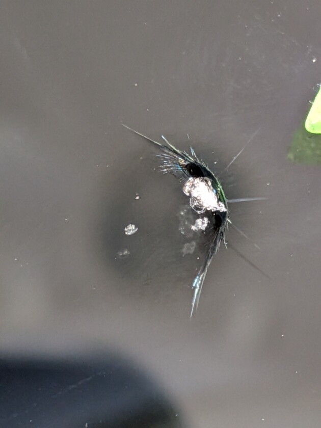 アルト1.2cmのひび割れ