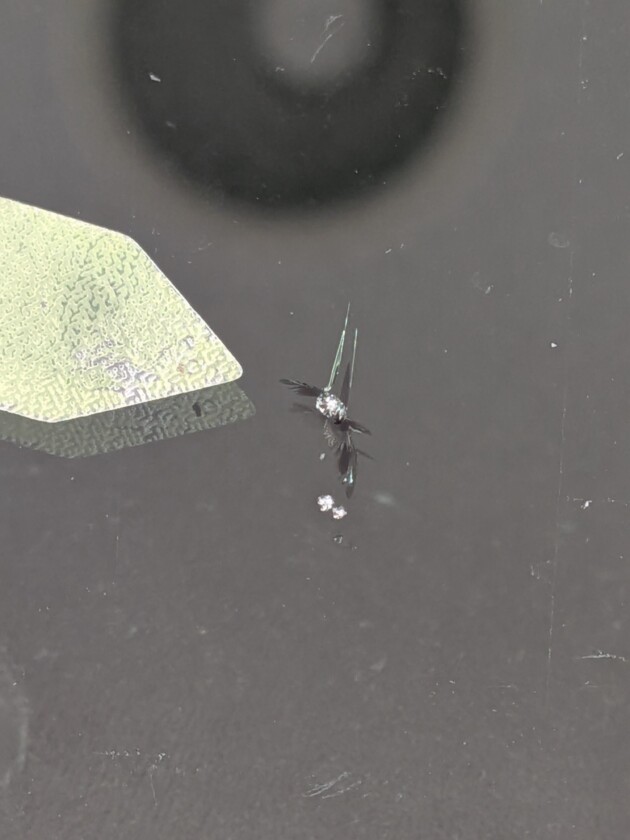 ヴェルファイア1.1cmのひび割れ