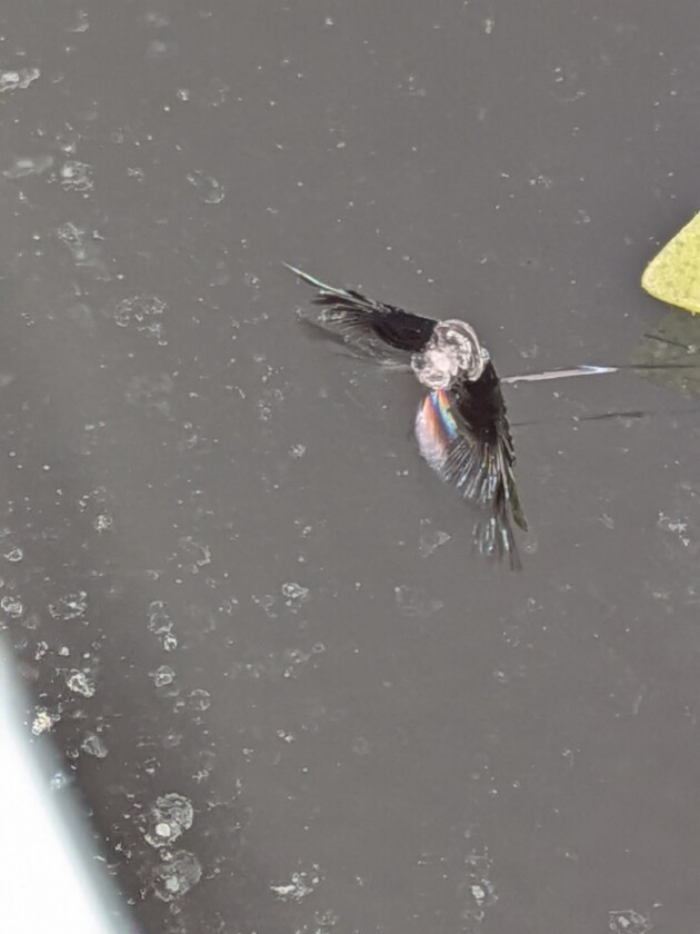 ヴォクシー1.3cmのひび割れ