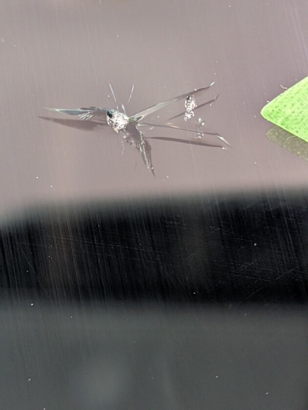 Nbox1.7cmのひび割れ