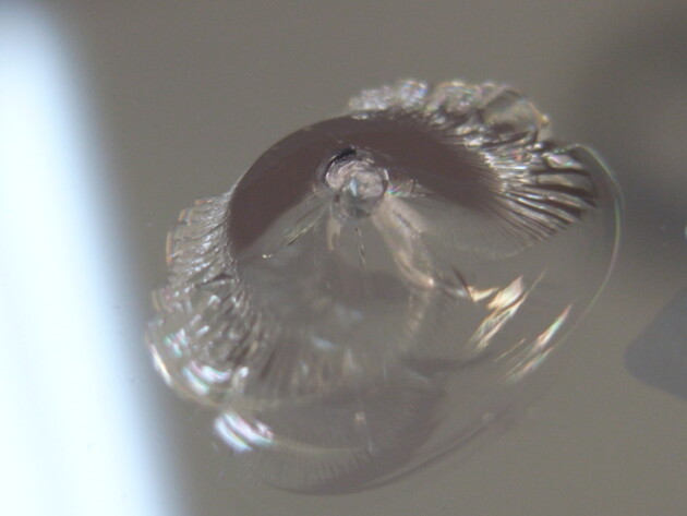 レジアスエース　フロントガラス飛び石