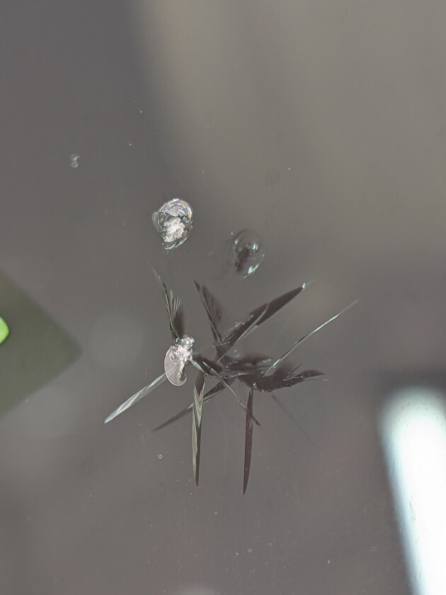 デリカD5ウインドリペア1.4cm