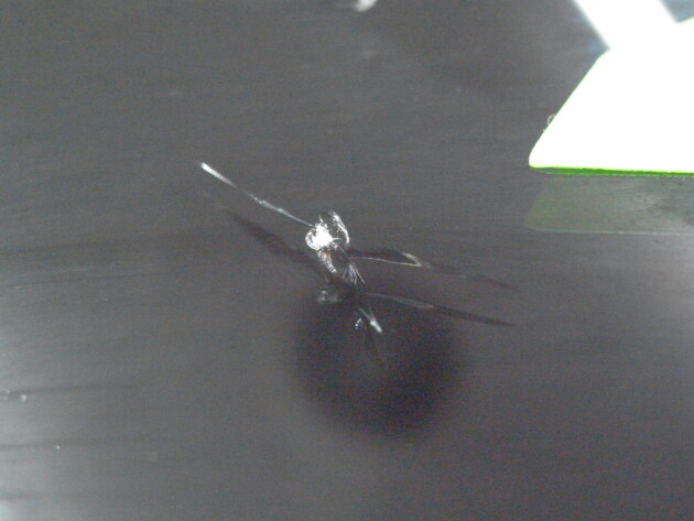 エクストレイル2.1cmのひび割れ