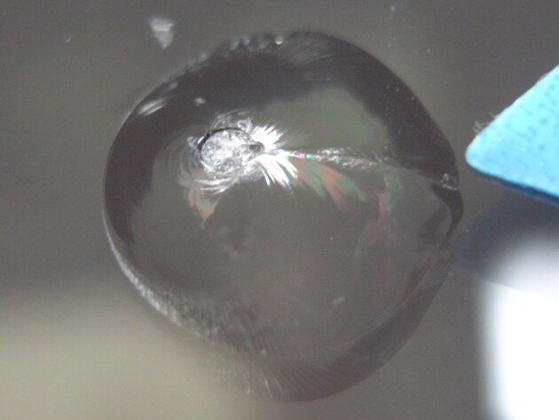 ダイハツタント　ウインドリペア