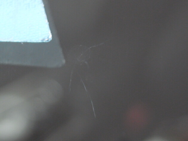 メルセデスベンツE350　ウインドリペア