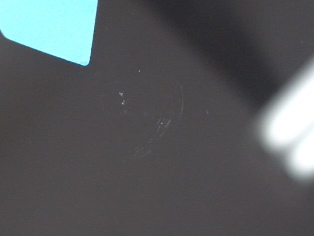 メルセデスベンツE220d　フロントガラス修理