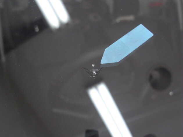 スズキソリオ ウインドリペア