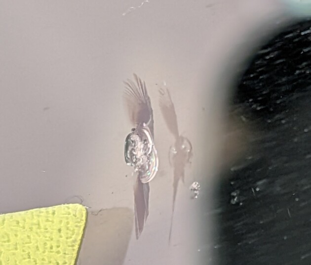 Nbox1cmのひび割れ