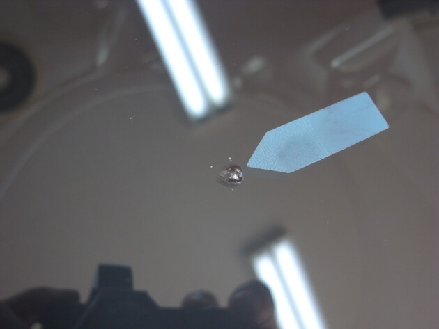 ホンダフィット　ウインドリペア