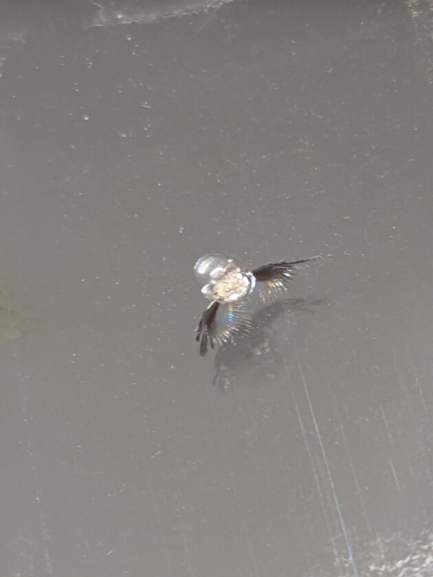 ヴォクシー9mmのひび割れ