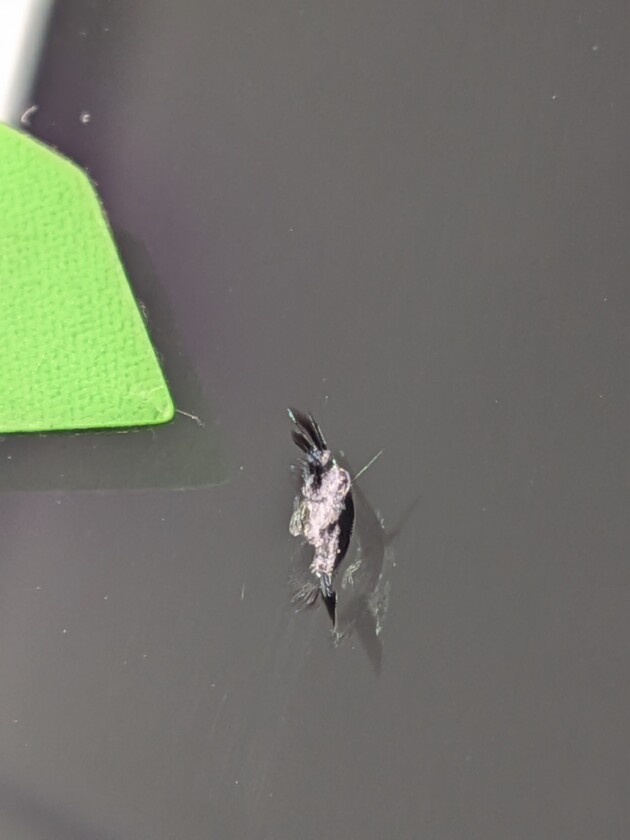 アルファード1.1cmのひび割れ