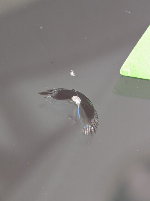 ランクル300ウインドリペア8mmのひび割れ