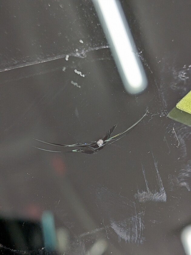 ロッキー2.5cmのひび割れ