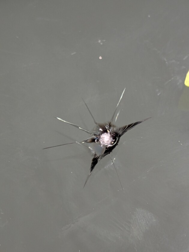 ハイラックスサーフ1.3cmのひび割れ