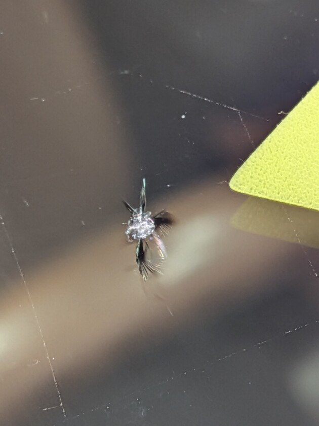 RX1.2cmのひび割れ