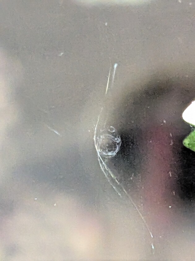 タント1.6cmのひび割れ