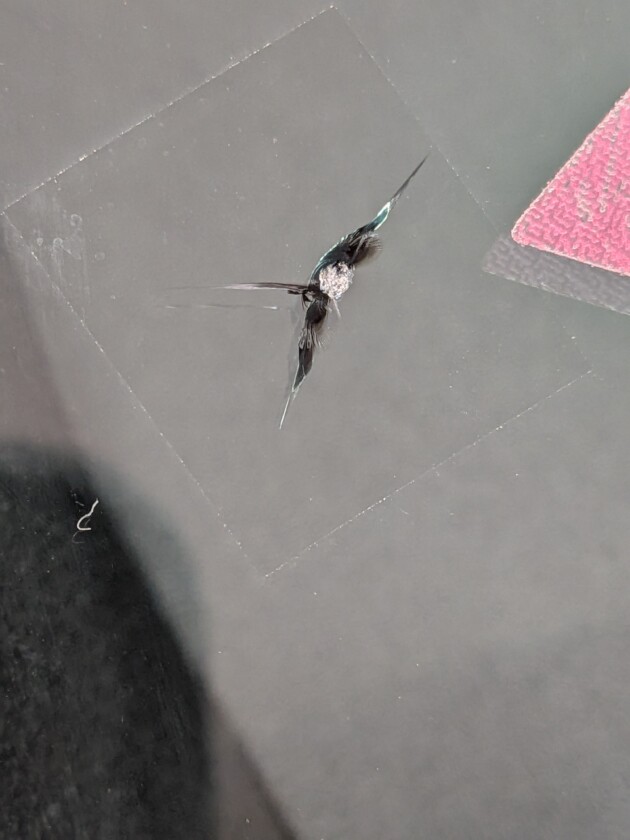 ハイエース直径1.5cmのひび割れ