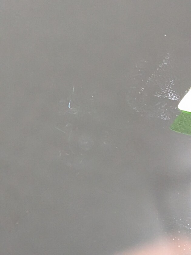 ヴォクシー1.5cmのひび割れ