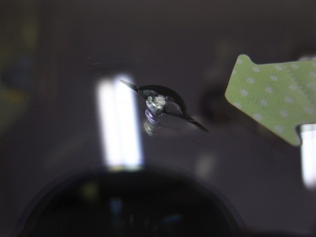 車 ガラス 飛び石 修理