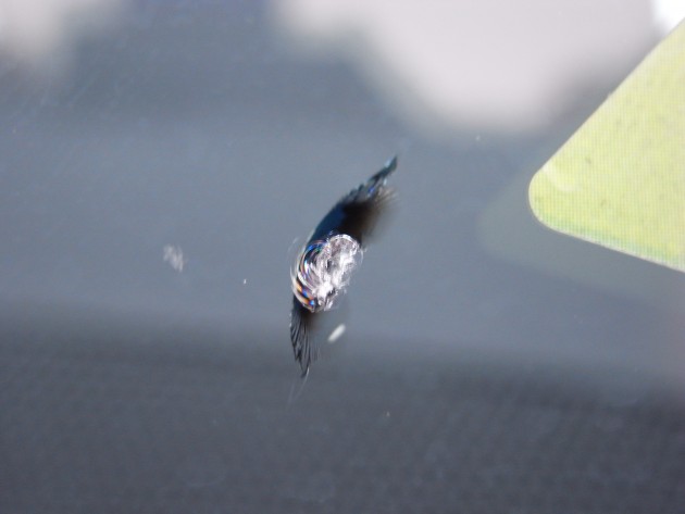 フロント ガラス 飛び石